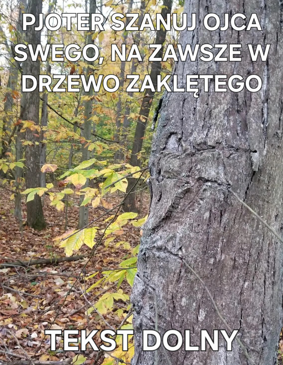 Dzieło sztuki #13442