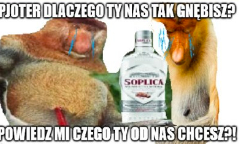 Dzieło sztuki #13455