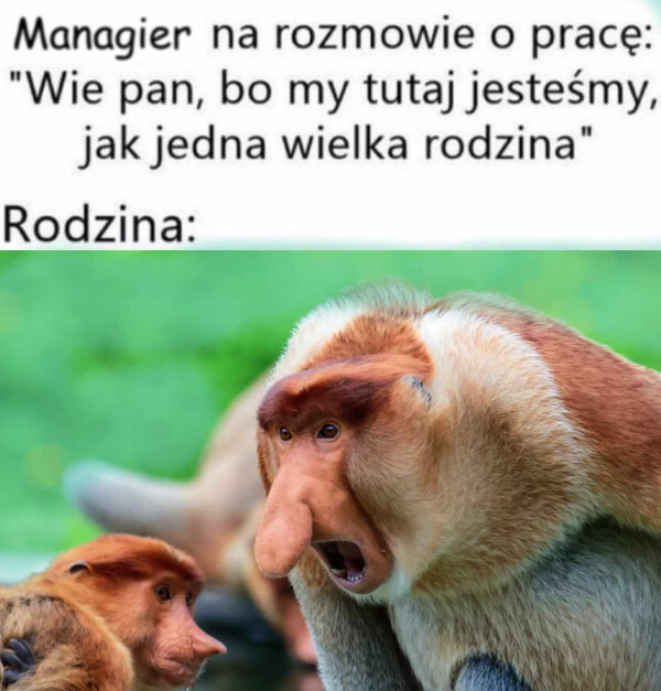 Dzieło sztuki #13458