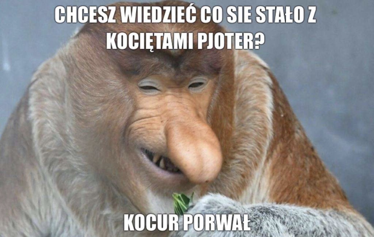 Dzieło sztuki #13469