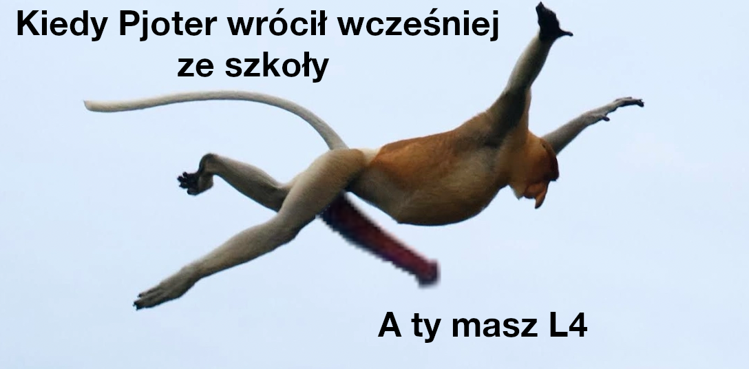 Dzieło sztuki #13473