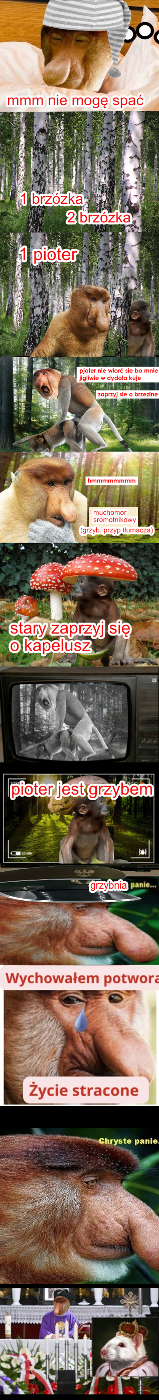 Dzieło sztuki #13488