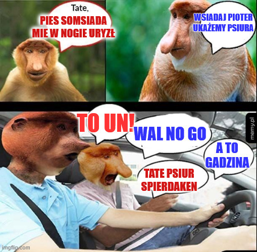 Dzieło sztuki #13492