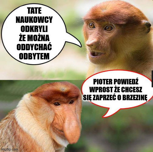 Dzieło sztuki #13494