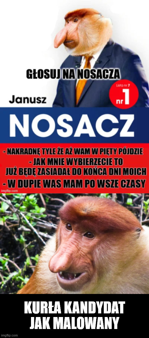 Dzieło sztuki #13495