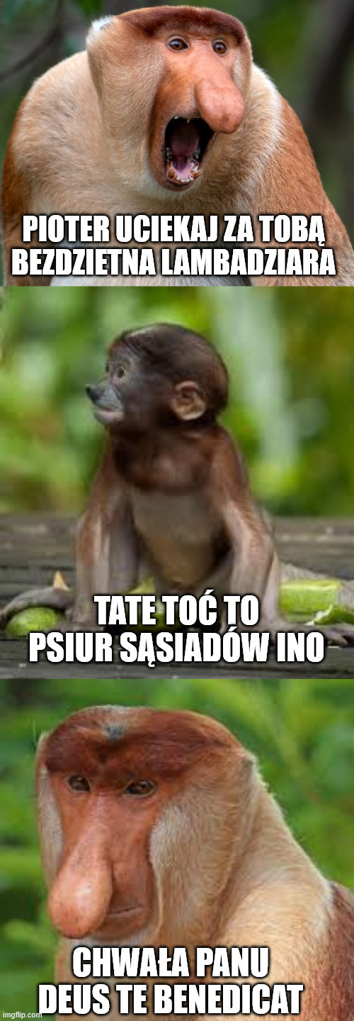 Dzieło sztuki #13496