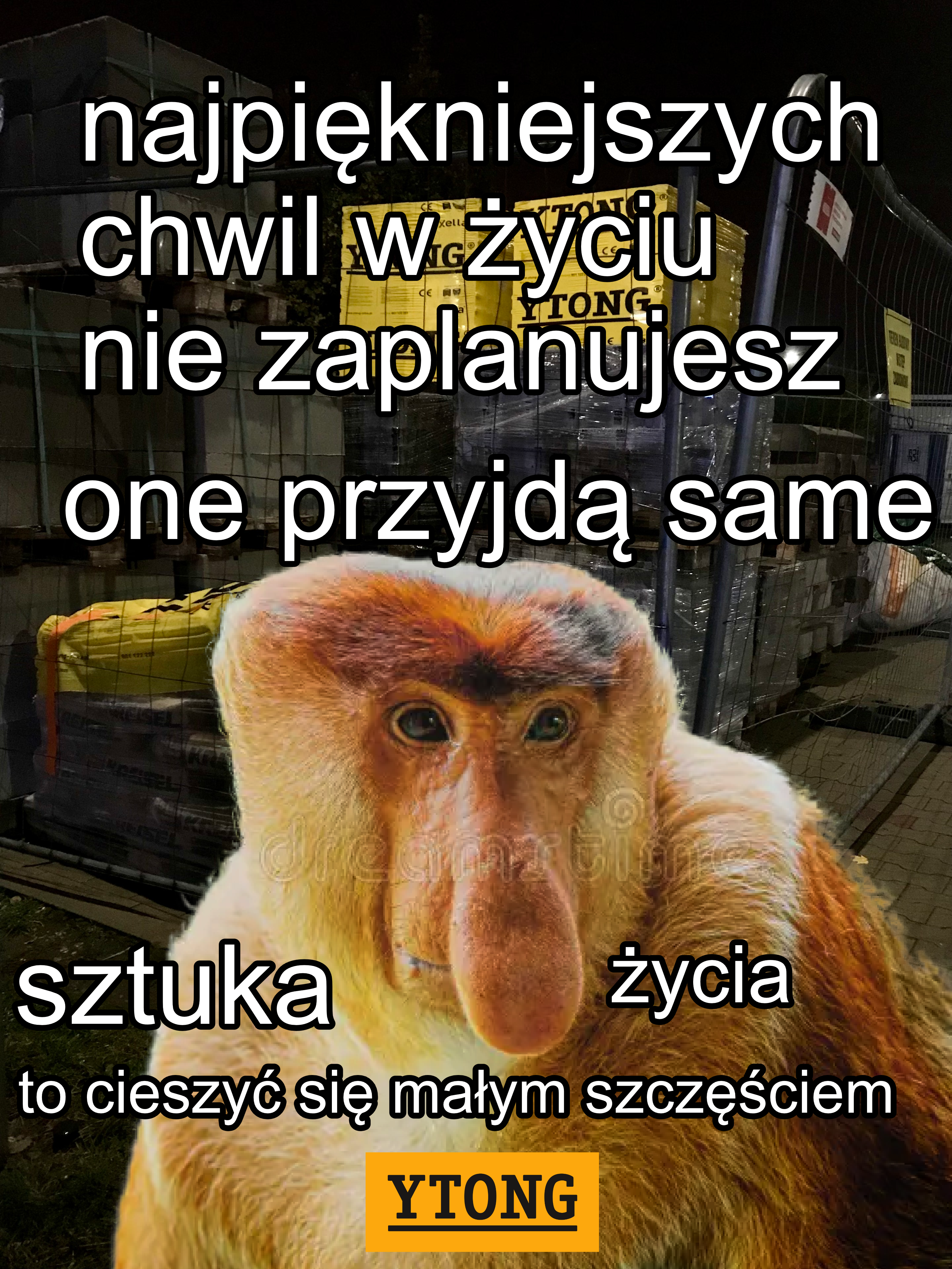 Dzieło sztuki #13504