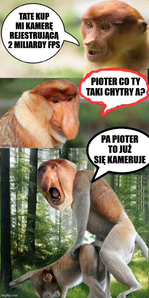 Dzieło sztuki #13505