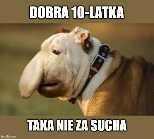 Dzieło sztuki #13509