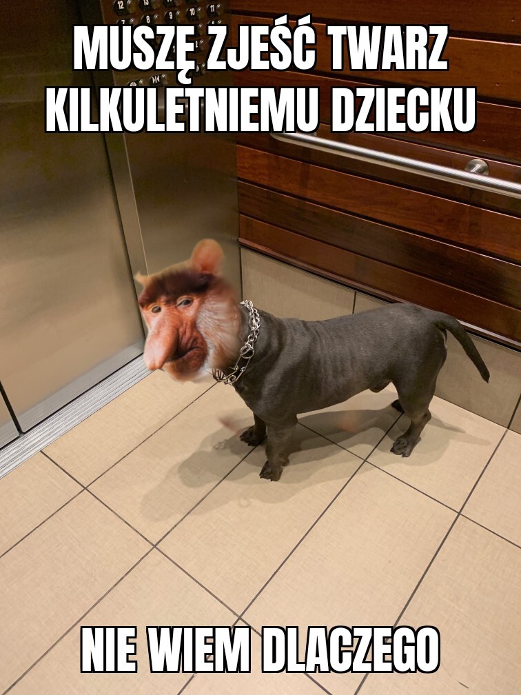Dzieło sztuki #13528