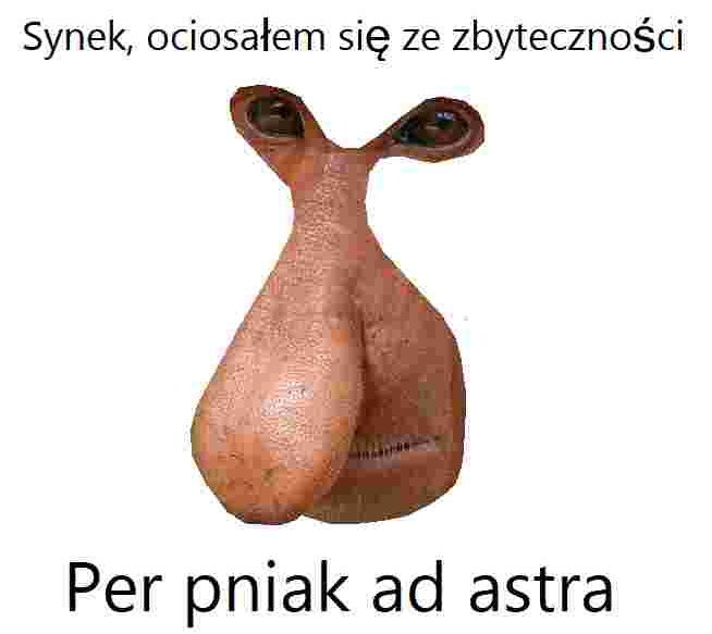 Dzieło sztuki #13531
