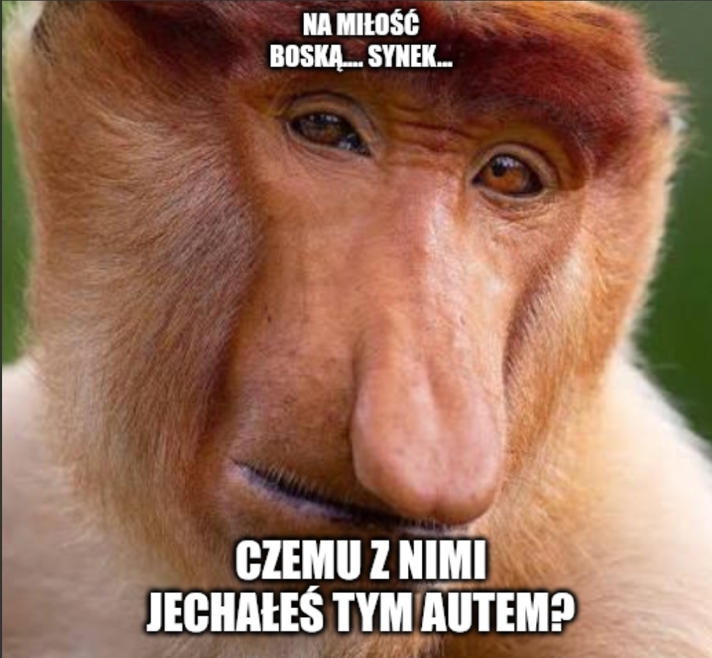 Dzieło sztuki #13533
