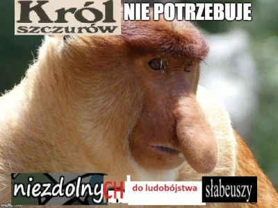 Dzieło sztuki #13537