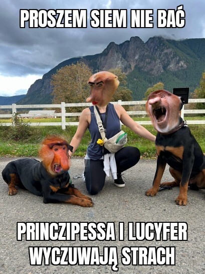 Dzieło sztuki #13540