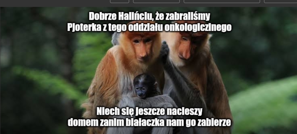 Dzieło sztuki #13545
