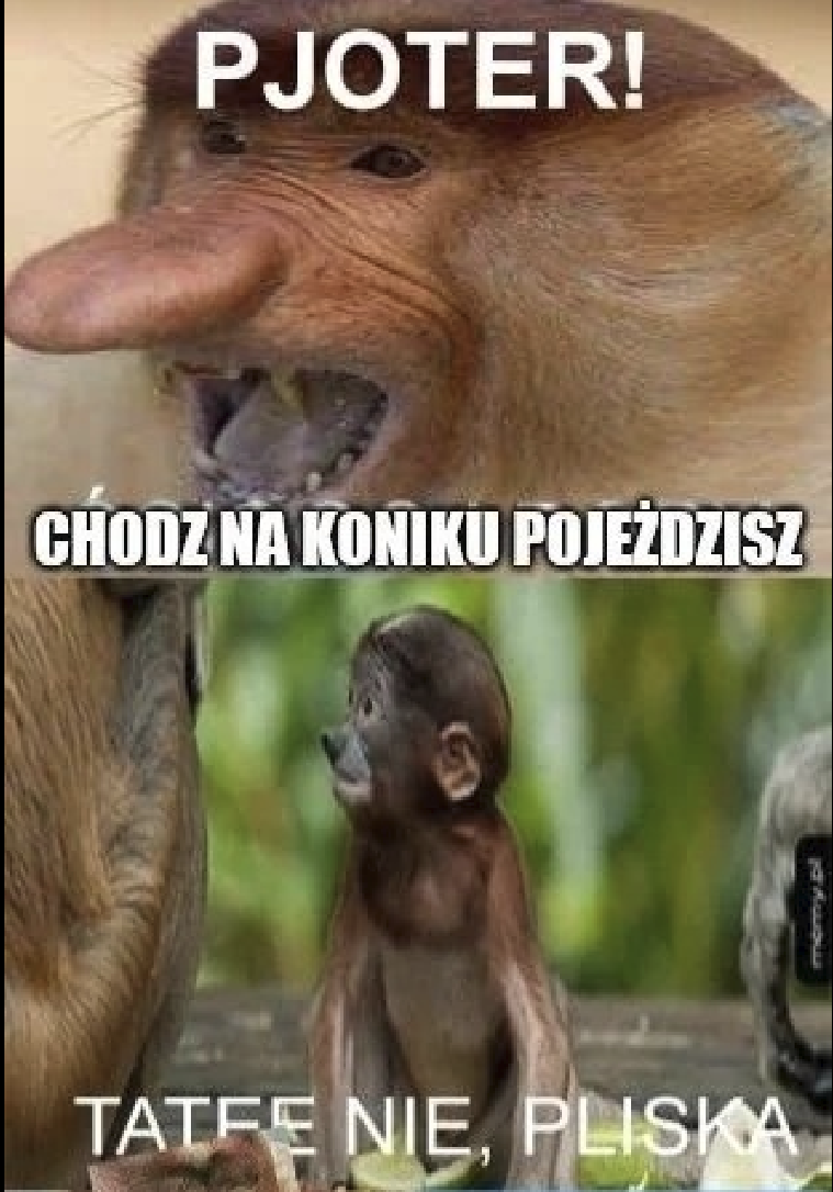 Dzieło sztuki #13555