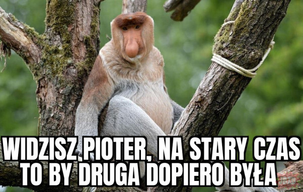 Dzieło sztuki #13558