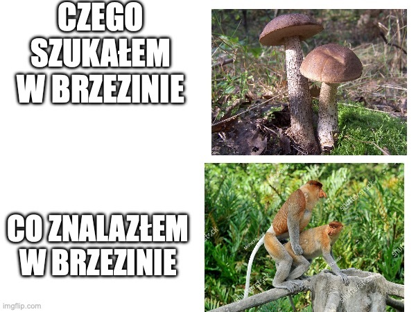 Dzieło sztuki #13561