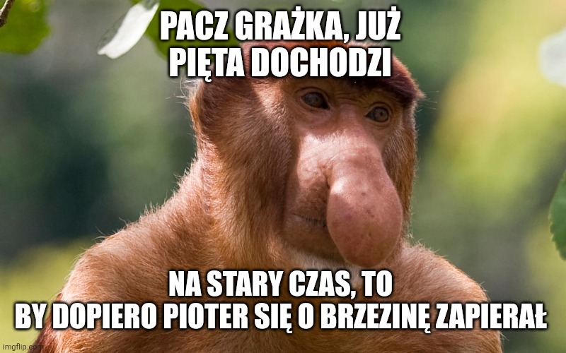 Dzieło sztuki #13563