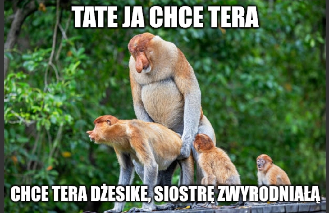 Dzieło sztuki #13569