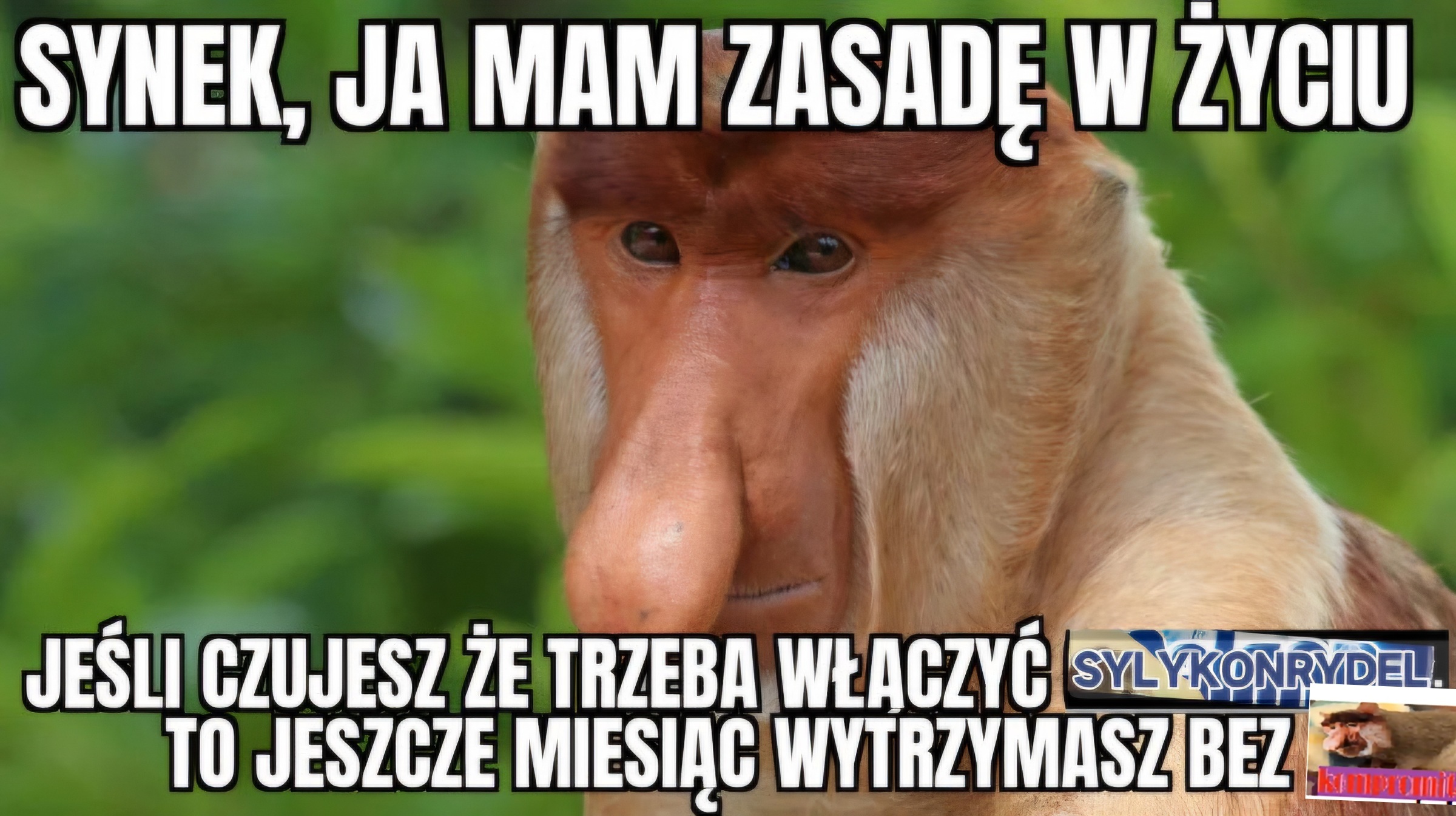 Dzieło sztuki #13574