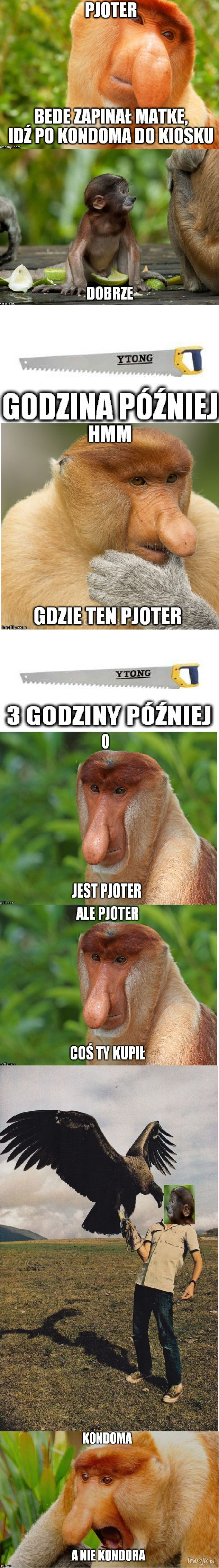 Dzieło sztuki #13575