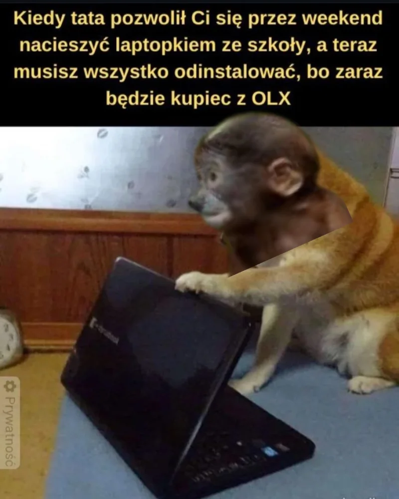 Dzieło sztuki #13598