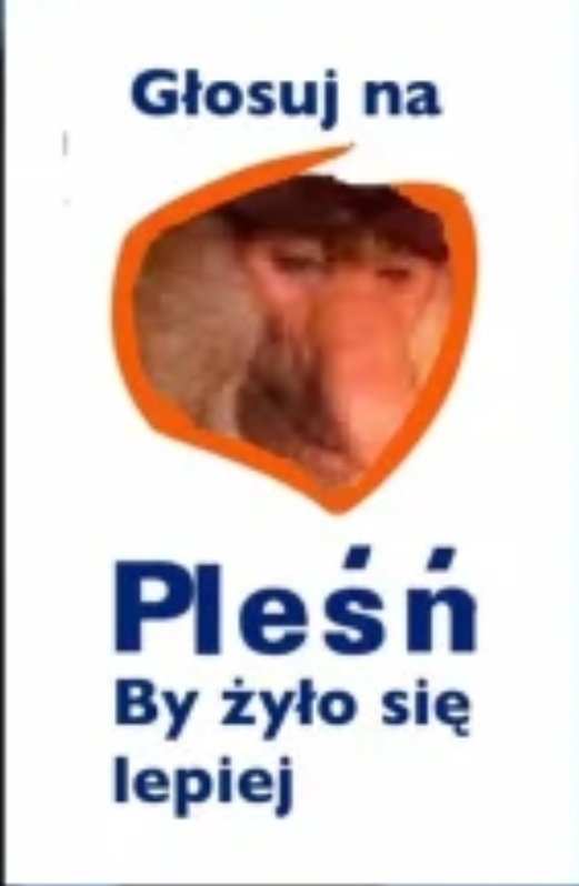 Dzieło sztuki #13605