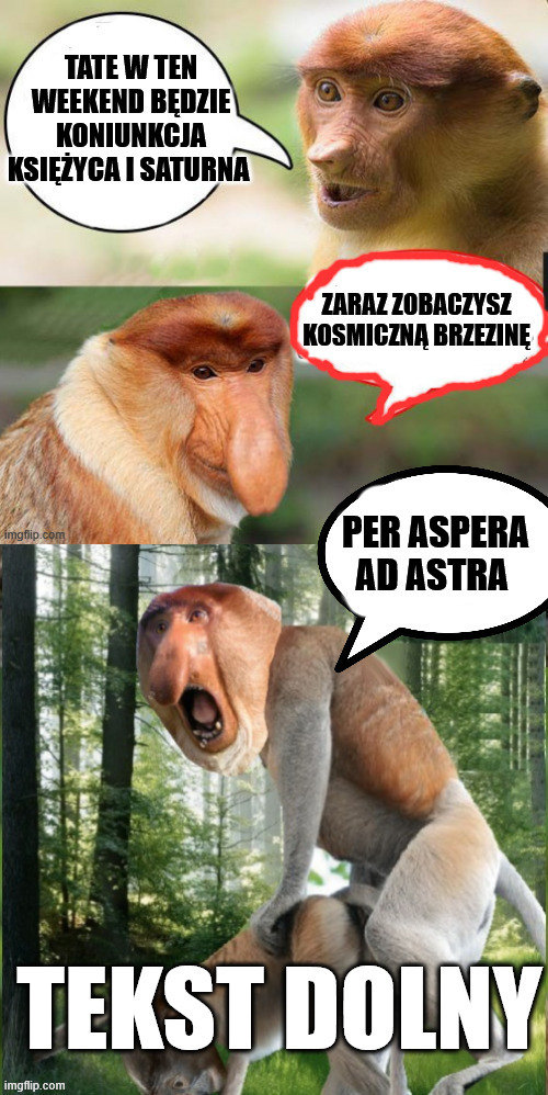 Dzieło sztuki #13609