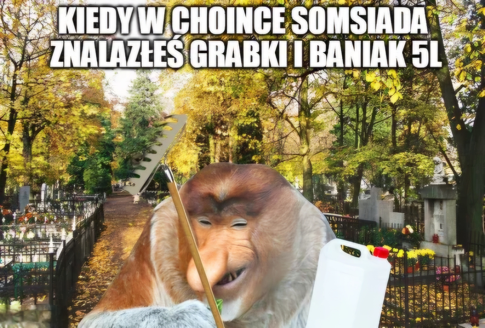 Dzieło sztuki #13620
