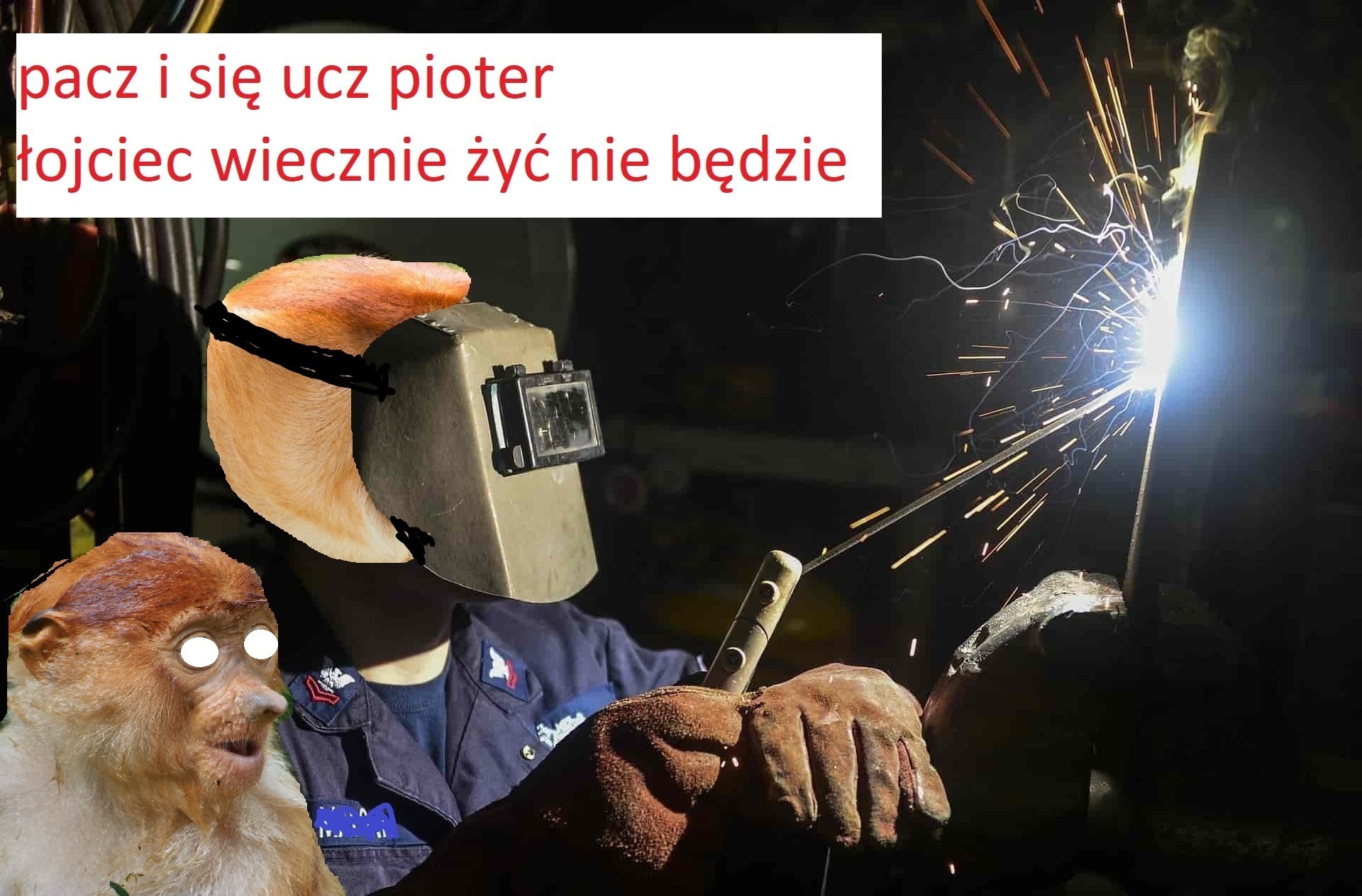 Dzieło sztuki #13622