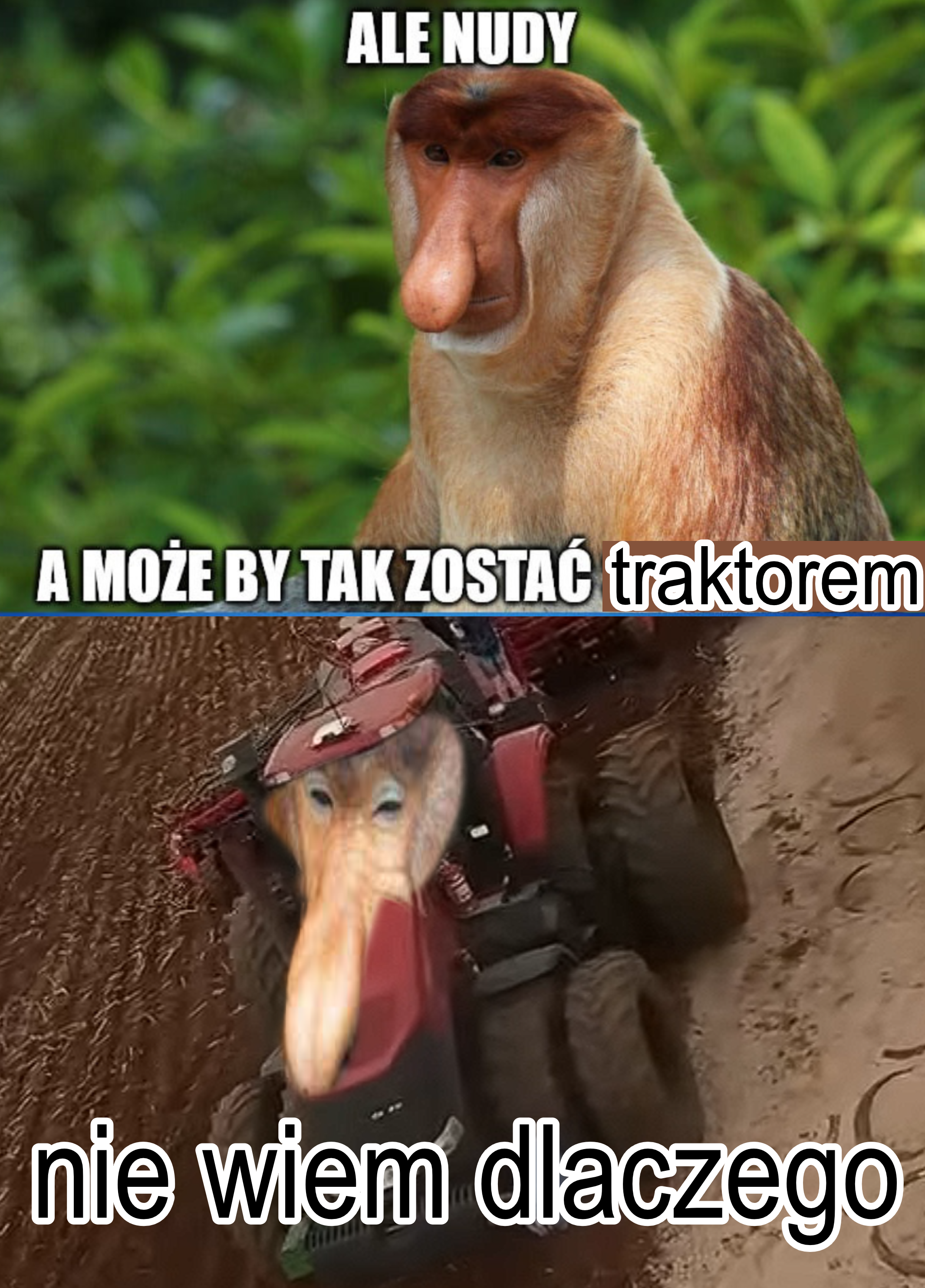 Dzieło sztuki #13625