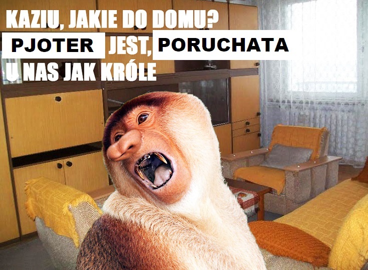 Dzieło sztuki #13645