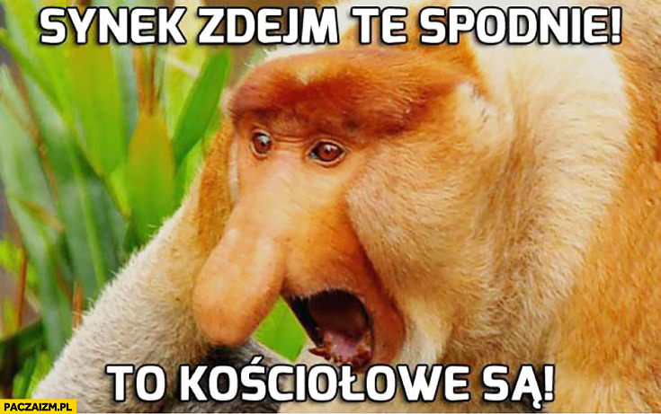 Dzieło sztuki #13649