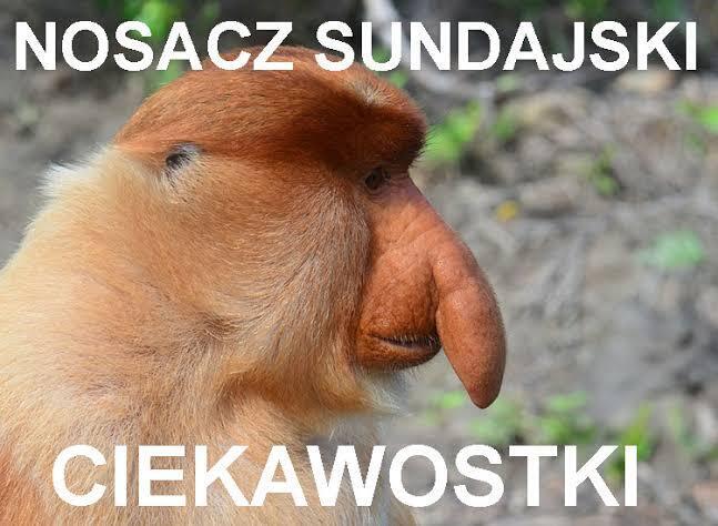 Dzieło sztuki #13655