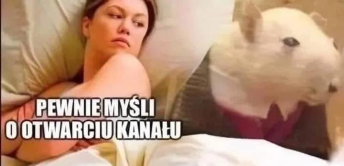 Dzieło sztuki #13669