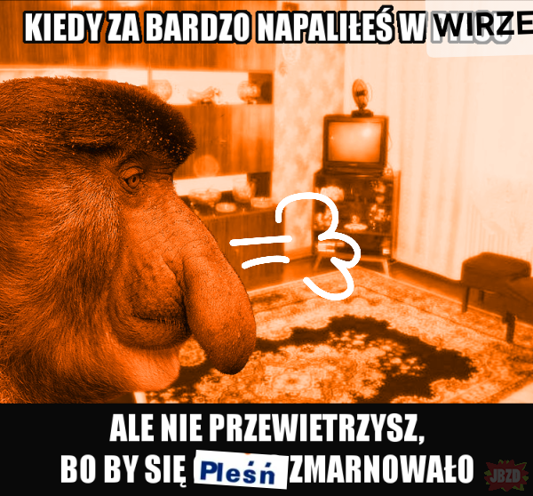 Dzieło sztuki #13675