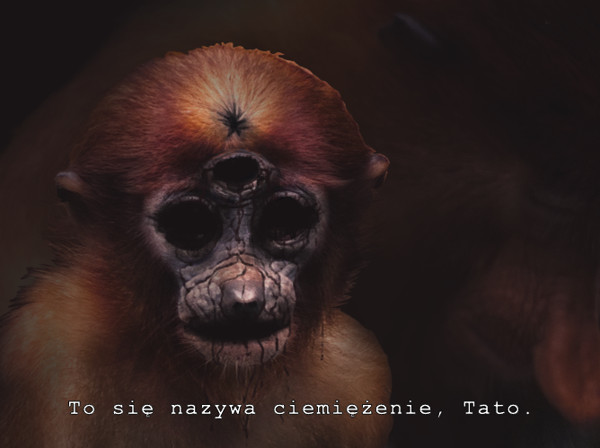 Dzieło sztuki #13677