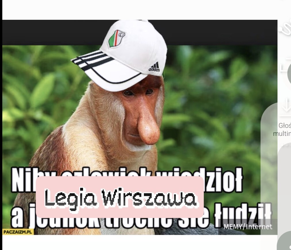 Dzieło sztuki #13686