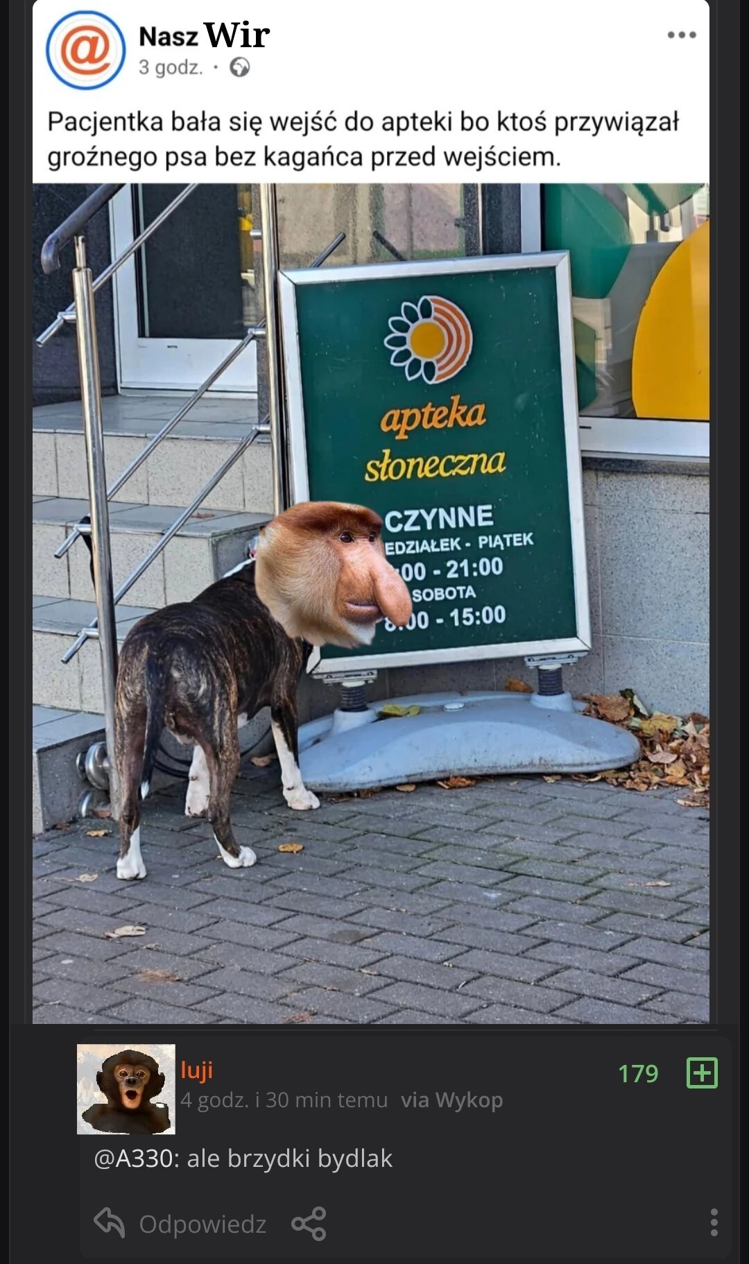 Dzieło sztuki #13692