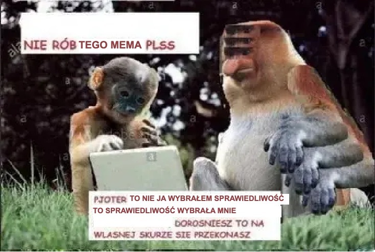 Dzieło sztuki #13695