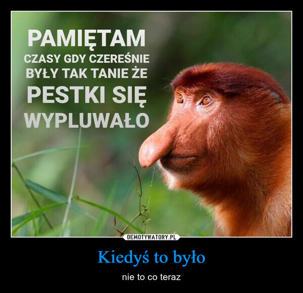 Dzieło sztuki #13696