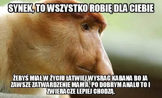Dzieło sztuki #13709