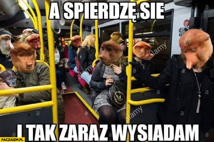 Dzieło sztuki #13711