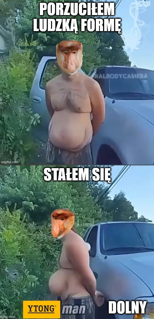 Dzieło sztuki #13728