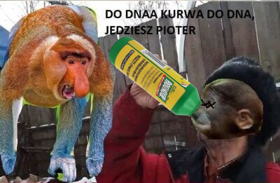 Dzieło sztuki #13729