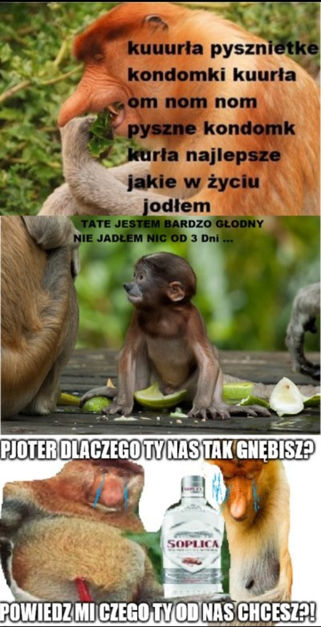 Dzieło sztuki #13742