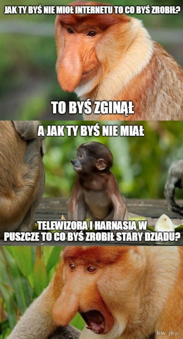 Dzieło sztuki #13769