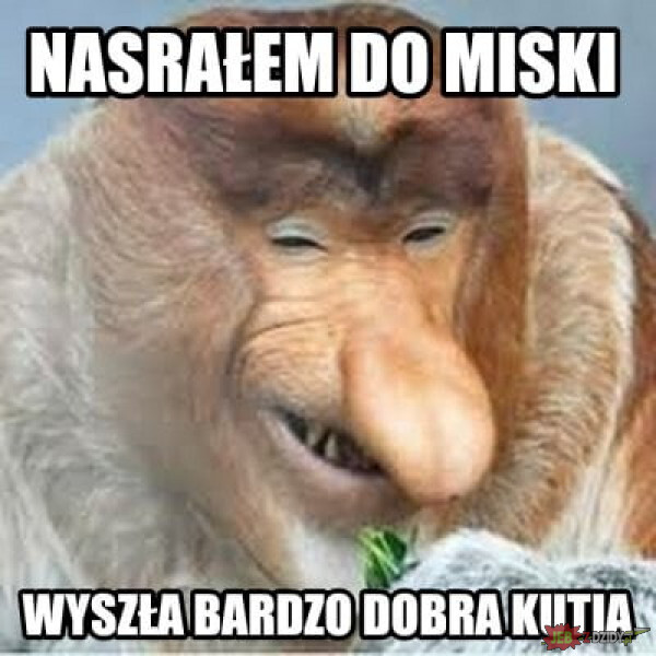 Dzieło sztuki #13777