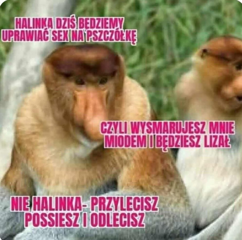 Dzieło sztuki #13782